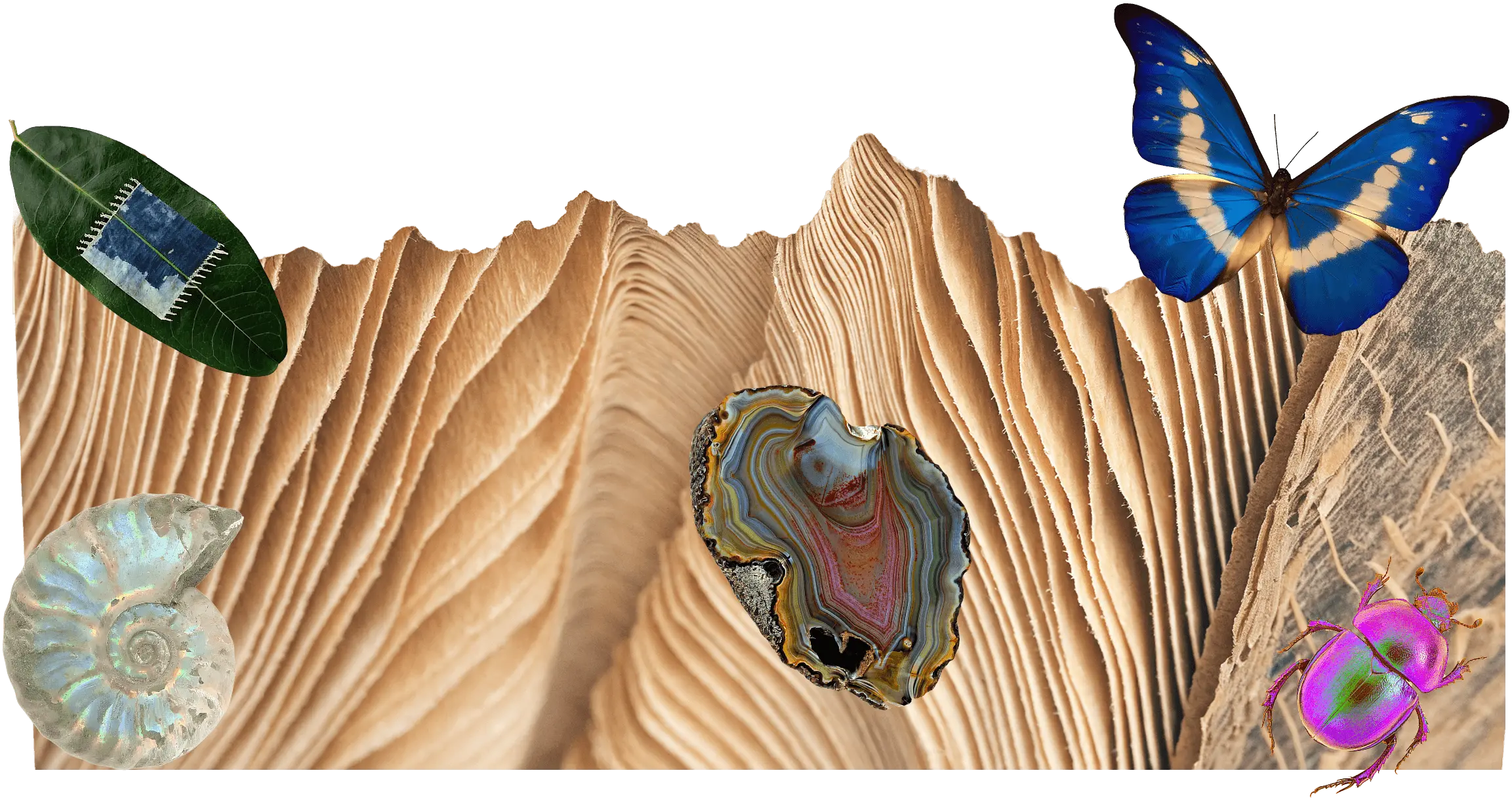 footer background image