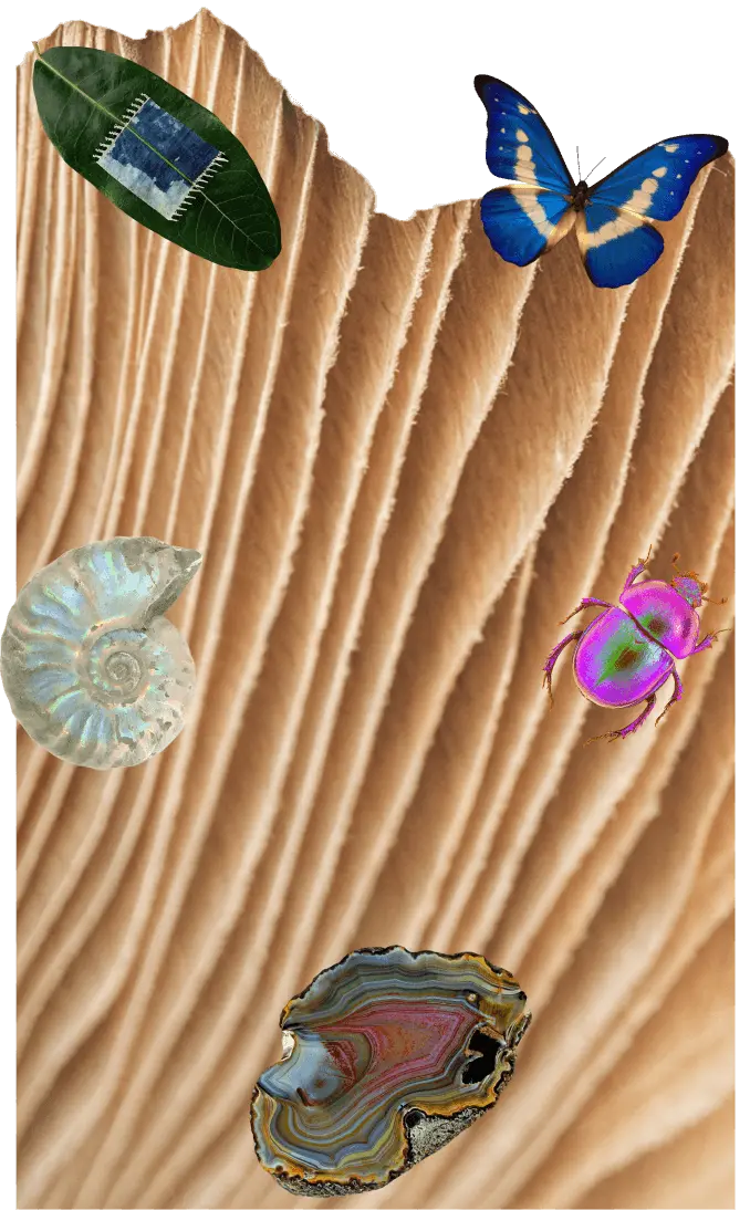 footer background image