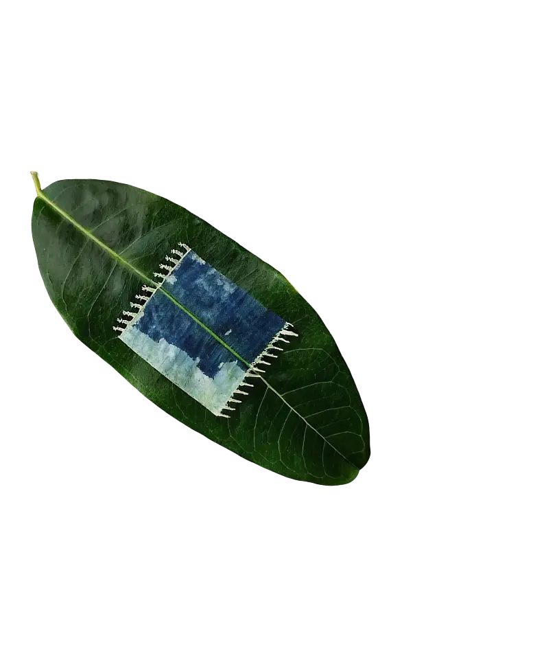petal icon
