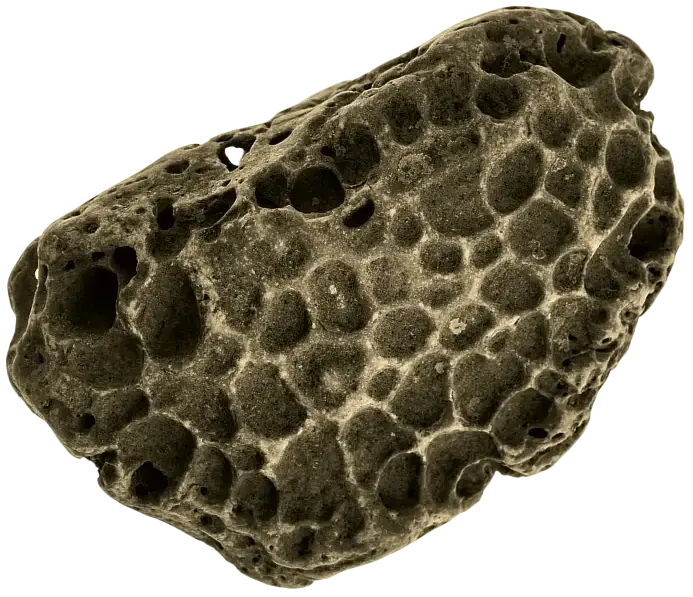 Vortex image
